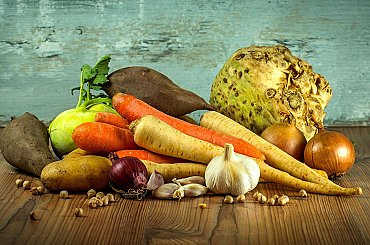 Jak zastavit plýtvání potravinami? Na MENDELU vznikl FOOD WASTE INSTITUT