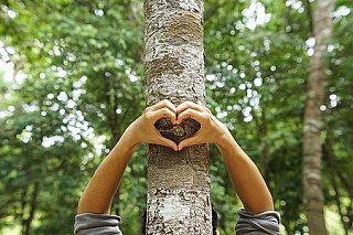 Odsíření elektráren přineslo návrat obyvatel, ukázal výzkum